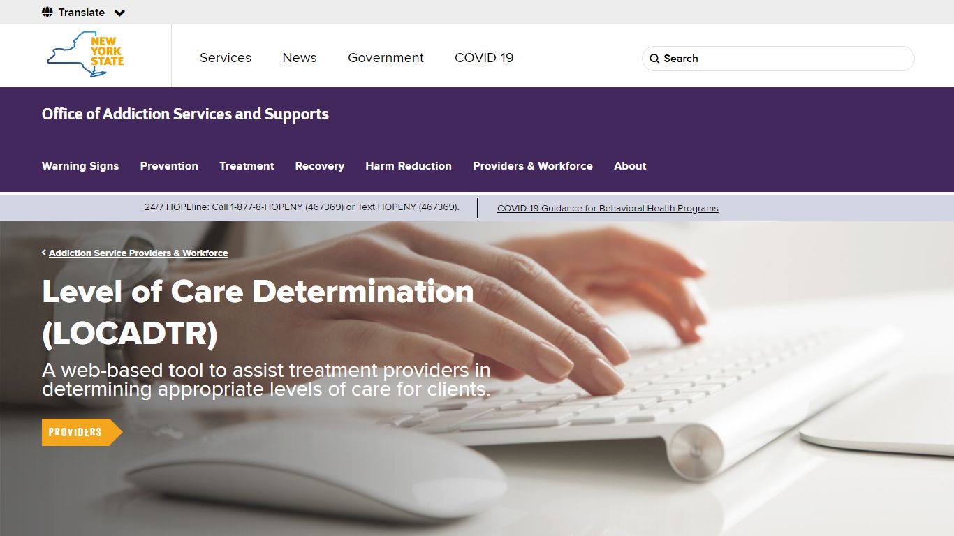 Level of Care Determination (LOCADTR) | Office of Addiction Services ...